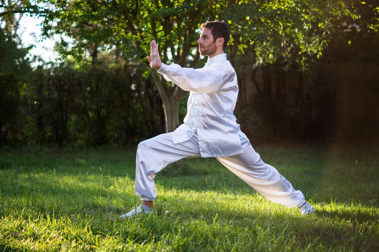 How to Improve Power & Mind–Body Integration - Mastery - Tai Chi for Advanced Practitioners How to Improve Power & Mind–Body Integration - Mastery - Tai Chi for Advanced Practitioners