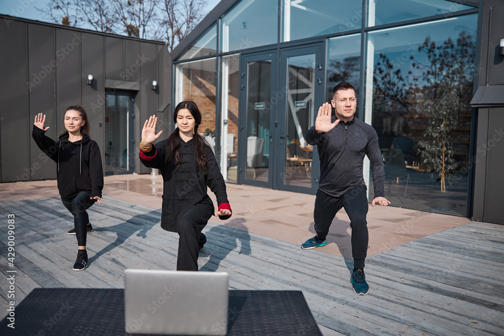 Brush knee push taijiquan activity performed outdoors by three athletes